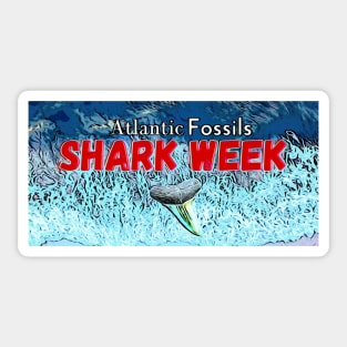 Shark Week Waves and Shark Tooth Sticker